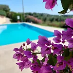 Nido Dell'arte - Regarda Travel Apartment *