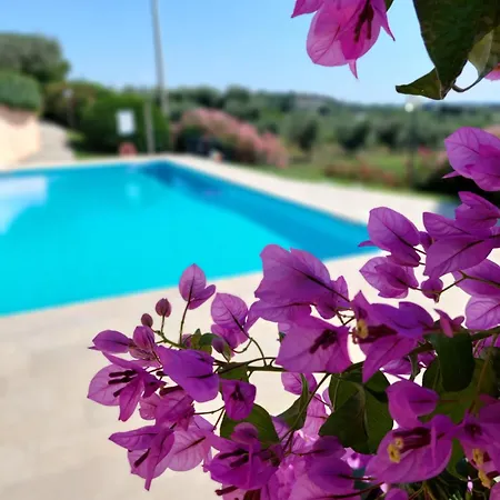 Nido Dell'arte - Regarda Travel Apartmán *