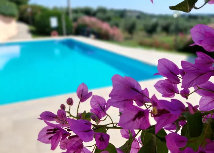 Nido Dell'arte - Regarda Travel Lägenhet *